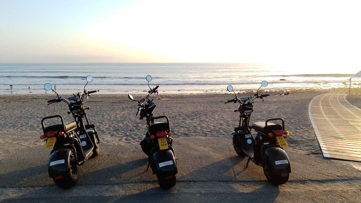 Maspalomas: 2-Seater Chopper E-Scooter Rental - Maspalomas Botanical Park: Tropical Plants in a Manageable Stop