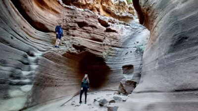 Maspalomas: Barranco de las Vacas, Caves, Farmhouse Tour - The Small-Group Format and Pickup Stops in Maspalomas