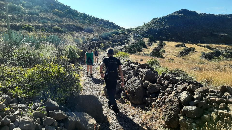 Maspalomas: Barranco de las Vacas, Caves, Farmhouse Tour - Traditional Village Time: How Gran Canaria Life Happens Out of Crowds
