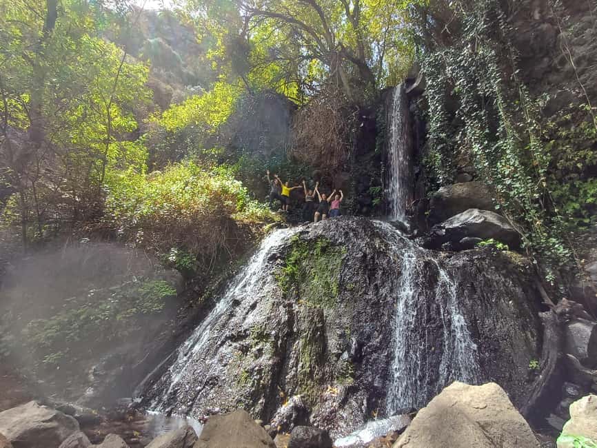 Maspalomas: Barranco de los Cernicalos Rainforest Hike - Key highlights that make this hike worth your time