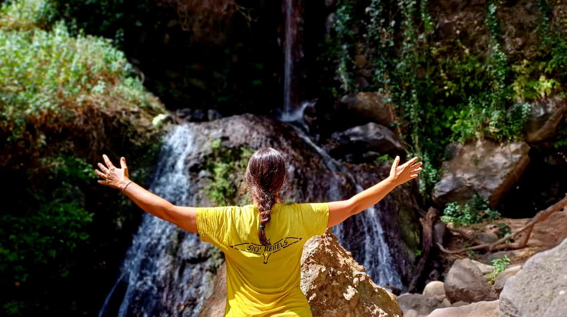 Maspalomas: Barranco de los Cernicalos Rainforest Hike - Why Barranco de los Cernícalos feels like a storybook day