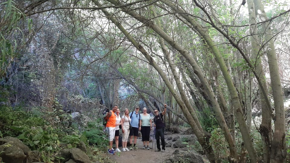 Maspalomas: Barranco de los Cernicalos Rainforest Hike - The van rhythm: how the pickup and ride shape your schedule