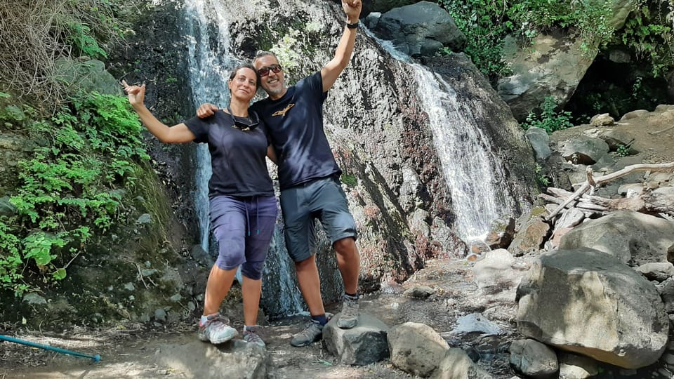 Maspalomas: Barranco de los Cernicalos Rainforest Hike - Who this hike suits best (and who should skip it)