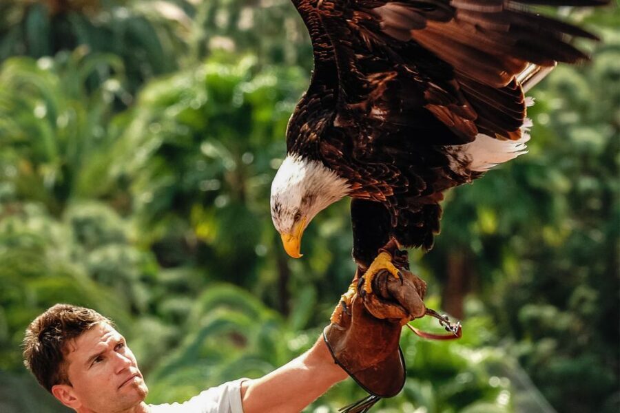 Maspalomas: Palmitos Park Ticket with Dolphin and Bird Shows - Palmitos Park Near Maspalomas: Why It Works as a One-Day Plan