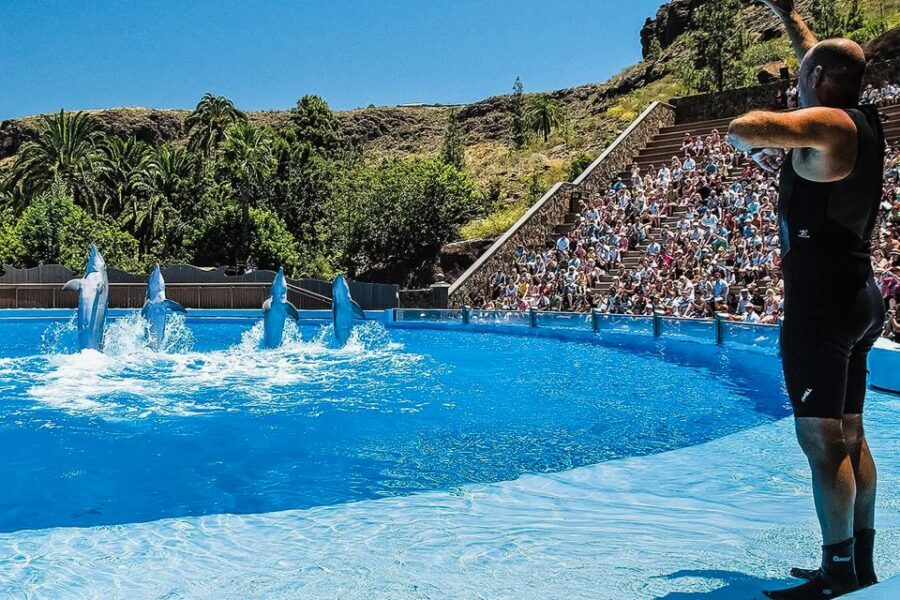Maspalomas: Palmitos Park Ticket with Dolphin and Bird Shows - Hills, Walking Time, Sun, and Mobility Options