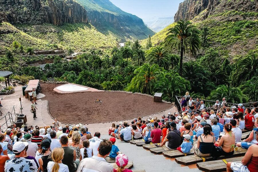 Maspalomas: Palmitos Park Ticket with Dolphin and Bird Shows - Price and Value: Is It Worth $44 Per Person?