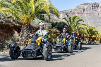 Maspalomas: Ryker Moto Tour to Fataga (Mountain buggy) - Price and value: why $88 often feels fair here