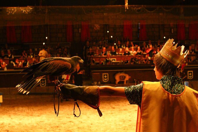 Medieval San Miguel castle with dinner-Show in South Tenerife - The Medieval Banquet: What You’ll Eat (and What to Expect)