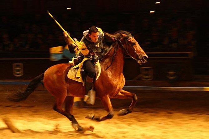 Medieval Show and Dinner at Castillo San Miguel with Transfer - Should You Book This Medieval Dinner Show in Tenerife?