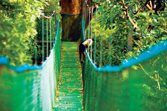 MEGA COMBO: 8 activities in 1 day, including natural hot springs - Rincon de la Vieja in 10 Hours: The Big Idea