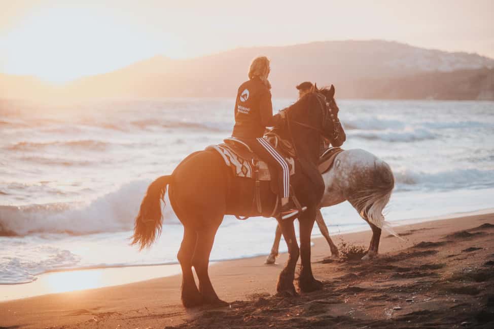 Megalochori: Horseback Riding Tour for Experienced Riders - Getting To Megalochori Stables And Timing Your Morning