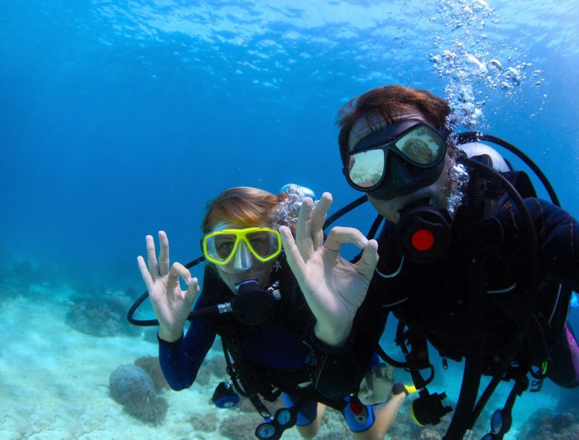 Menorca: Baptism Scuba Diving in Marine Reserve - Key highlights worth marking