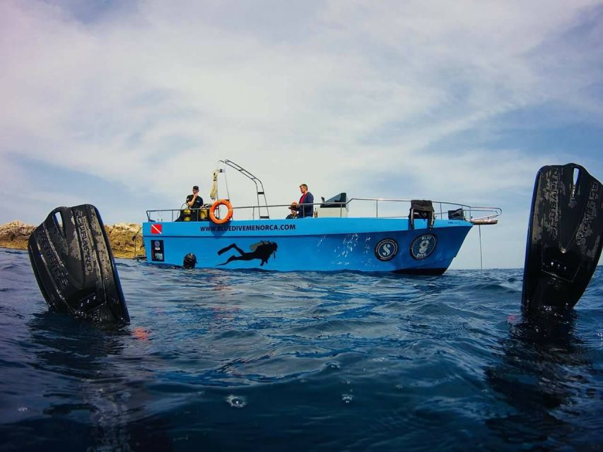 Menorca: Baptism Scuba Diving in Marine Reserve - Check-in at Blue Dive Menorca: what makes the start work