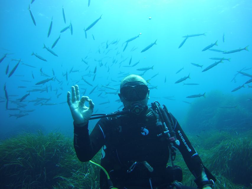 Menorca: Baptism Scuba Diving in Marine Reserve - Port d’Addaia and the boat ride: getting to the reserve