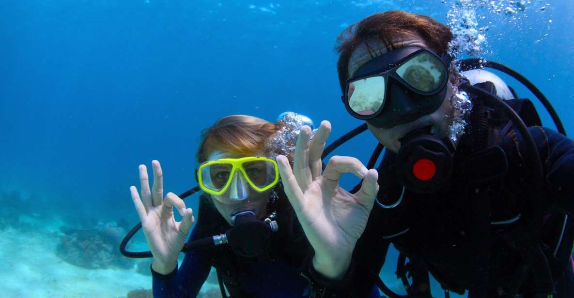 Menorca: Baptism Scuba Diving in Marine Reserve - Gear, comfort, and what to bring so you’re not scrambling