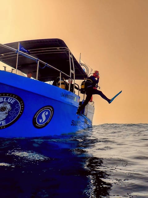 Menorca: Baptism Scuba Diving in Marine Reserve - Price and value: is $102 worth it for a first-time setup?