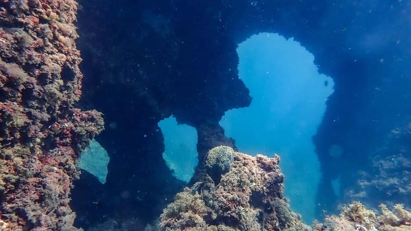 Menorca: Cala Galdana Try Scuba Diving for Beginners - Marine Life Chances: Octopus, Moray Eels, and Xoric