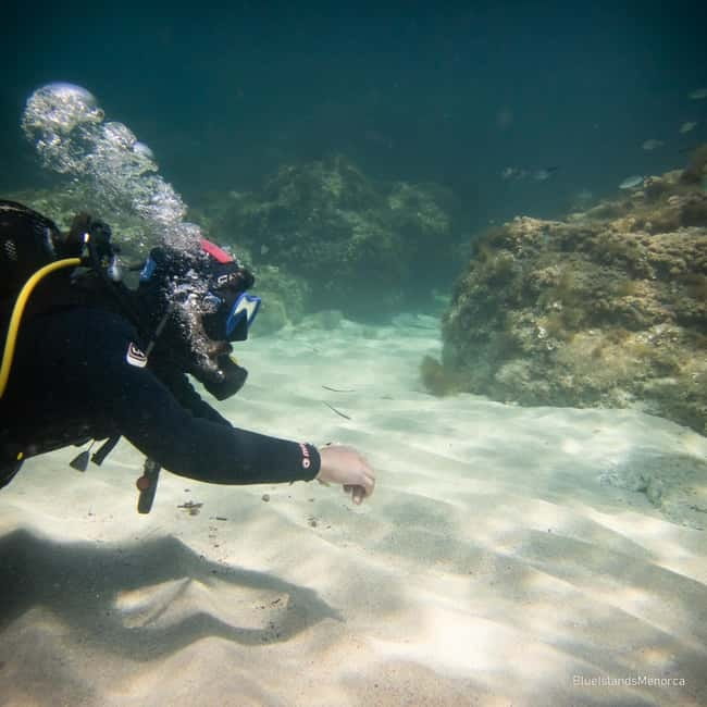 Menorca: Cala Galdana Try Scuba Diving for Beginners - Price and Value: Is $85 Worth It?