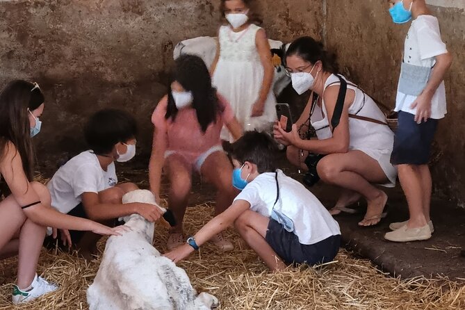 Menorca: Cheesemaking and Farm-Fresh Product Tasting - Hands-on cheese: making Mahon-Menorca (and putting your name on it)