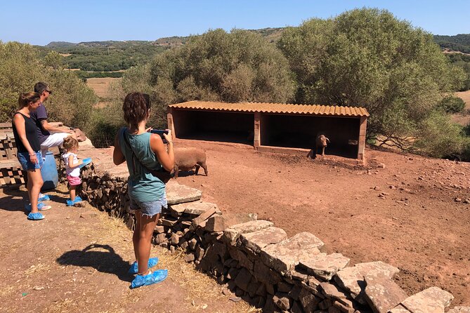Menorca: Cheesemaking and Farm-Fresh Product Tasting - Your 2.5-hour flow: Quesos Sa Roqueta to the cheesemaking room