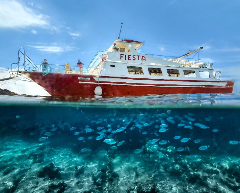 Menorca: Full-Day Boat Tour with Paella Lunch - Sailing Out of Ciutadella: The Start That Sets the Tone