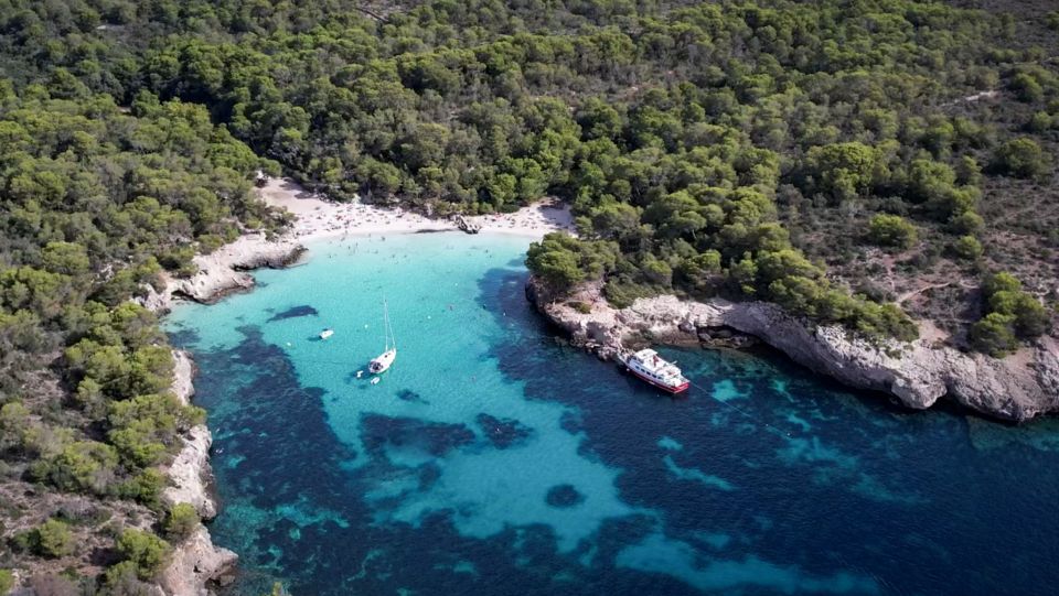 Menorca: Full-Day Boat Tour with Paella Lunch - Price and Value: Is $65 Actually a Good Deal?