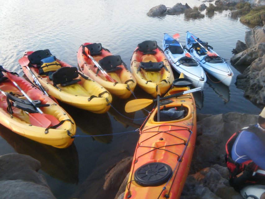 Menorca: Half-Day Kayak Excursion in Fornells - Katayak in Fornells Bay: your 3-hour plan in plain English