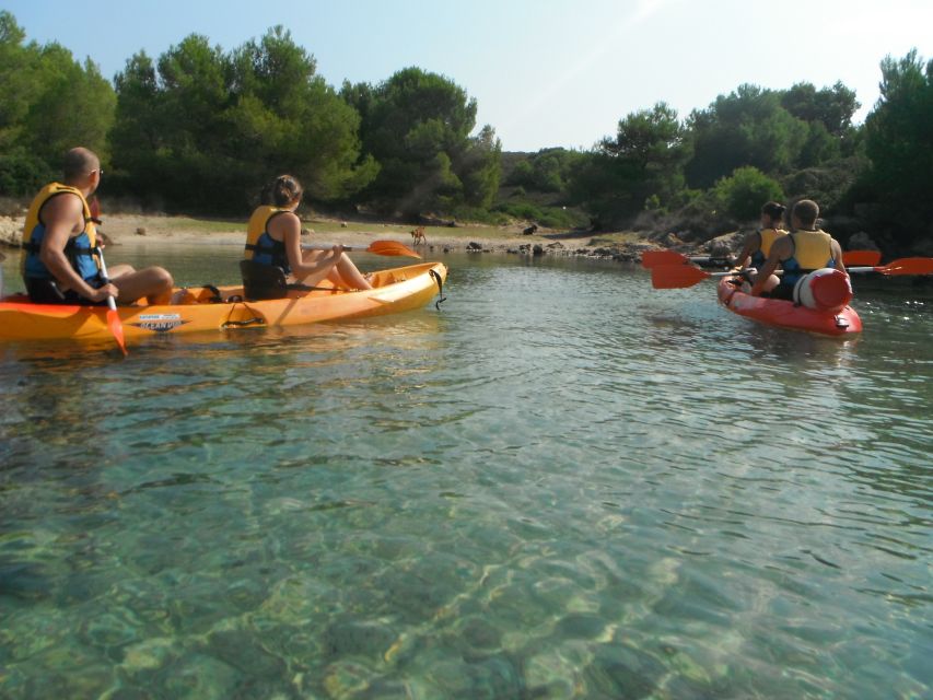 Menorca: Half-Day Kayak Excursion in Fornells - Cave of the English Man: the big attraction and the weather reality