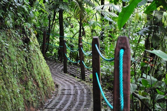 Mistico Hanging Bridges Park from La Fortuna - Price and Value: What $82 Gets You (and Why It’s Not Just the Bridges)