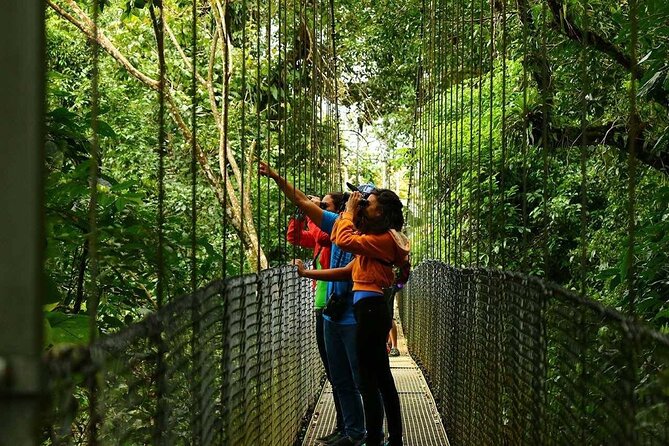 Mistico Hanging Bridges Tour with Lunch and Hotsprings - Naturally Heated Hot Springs: Soak, Swim, and Release the Jungle Tension