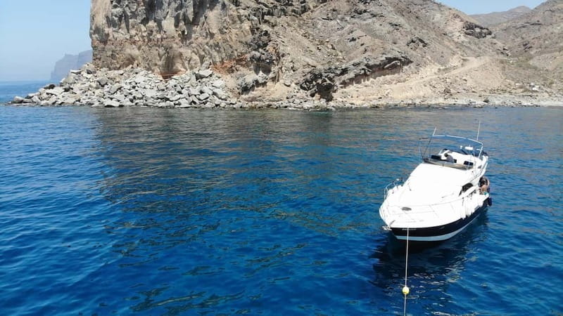 Mogan: Dolphin Watching Boat Trip with Swim Stop - Meeting the Keeper Uno and Why a 10-Person Boat Changes Everything