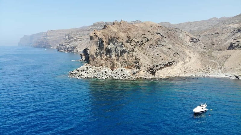 Mogan: Dolphin Watching Boat Trip with Swim Stop - FAQ