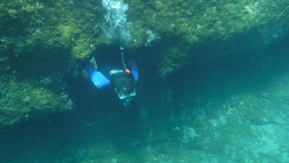 Mogán: Guided Kayak to Caves and Snorkeling Tour - Price and value: is $77 worth four hours of caves plus snorkeling?
