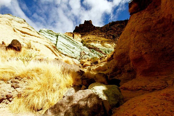 Mogán, La Aldea, Las Canteras - Big Island Tour Gran Canaria - Key highlights you’ll care about