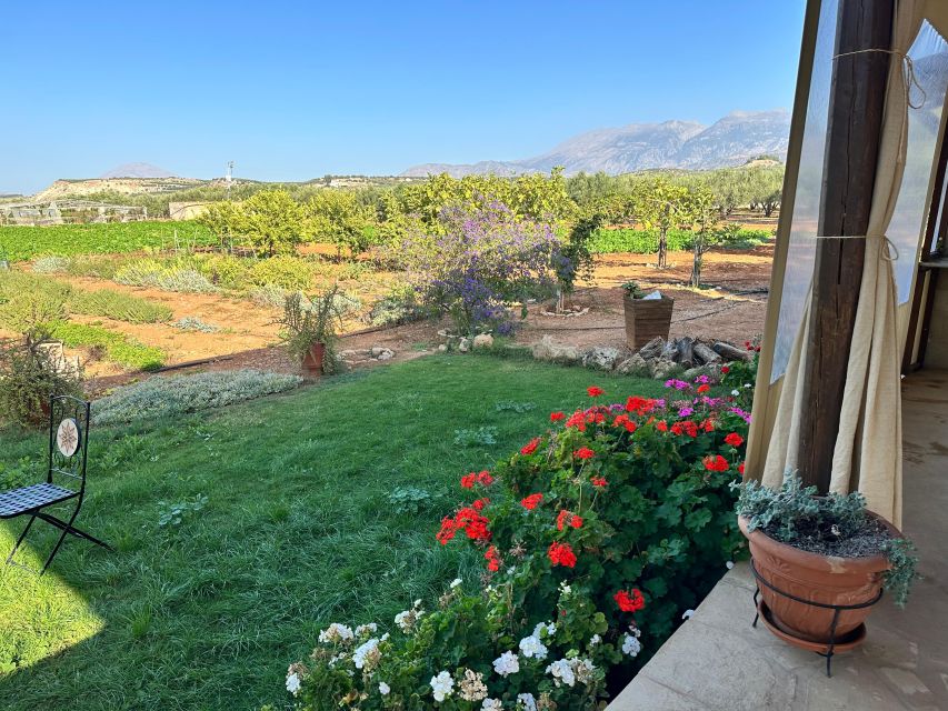 Moires: Cooking Class and Olive Oil Tasting at a Family Farm - Price and Value: Is $100 Worth It?