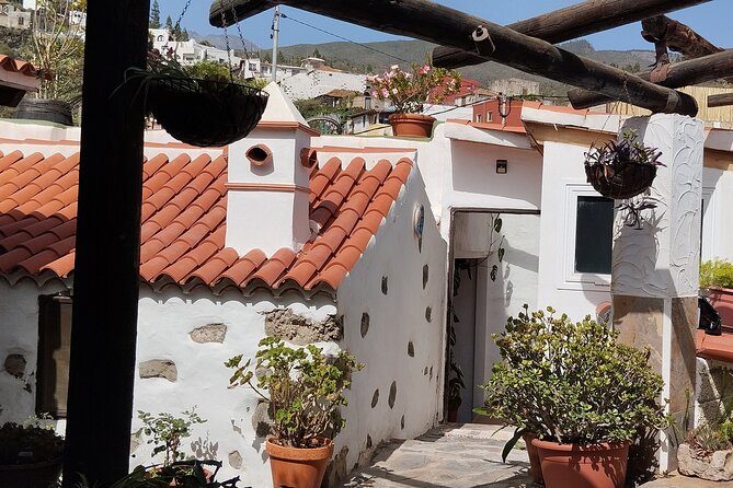 Mojo Cooking Class in an Ancient Canarian Village - Where You Start: Chirche, Meeting Point, and the 11:00 am Rhythm