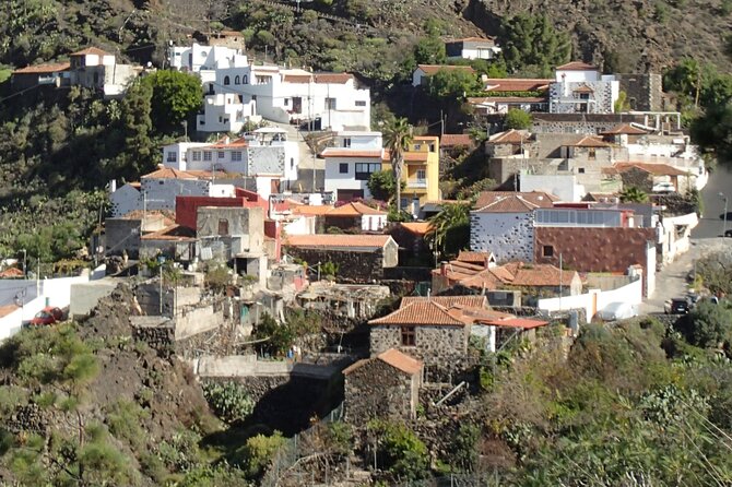 Mojo Cooking Class in an Ancient Canarian Village - Hands-On Mojo Making: The Flavor Work That’s Actually Fun