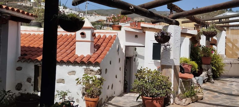 Mojo Workshop Cooking Class in Ancient Canarian Village - Making mojo the classic way: mortar-and-pestle skills you’ll use again