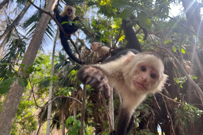 Monkey, Crocodile, Sloths & Beach Experience - Local soda lunch: why the food is part of the experience
