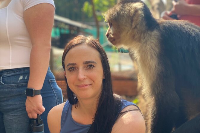 Monkey, Crocodile, Sloths & Beach Experience - Price and value for $88, and when to pay extra