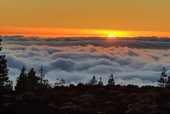 Monster Quad Teide Tour - Price and Value: Is $144.80 Fair for This Tour?