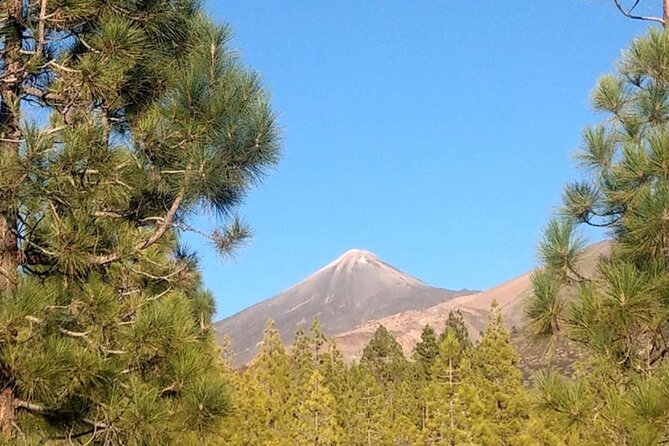 Monster Quad Teide Tour - The 3-Hour Plan: Pickup, Base Briefing, and Park Time