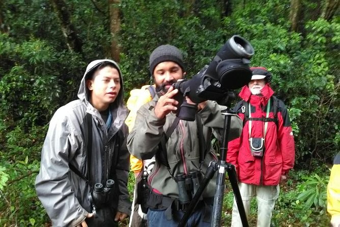 Monteverde Birdwatching Experience - Spotting scope time: how you get from guesswork to real views
