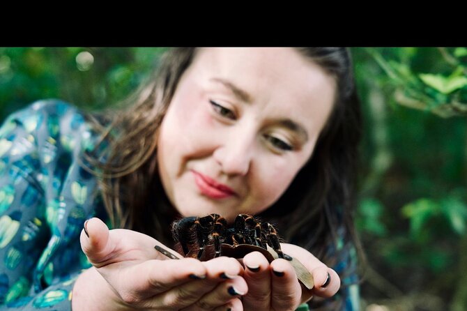 Monteverde Butterfly Gardens Tour - Photo tips that actually help in a butterfly garden