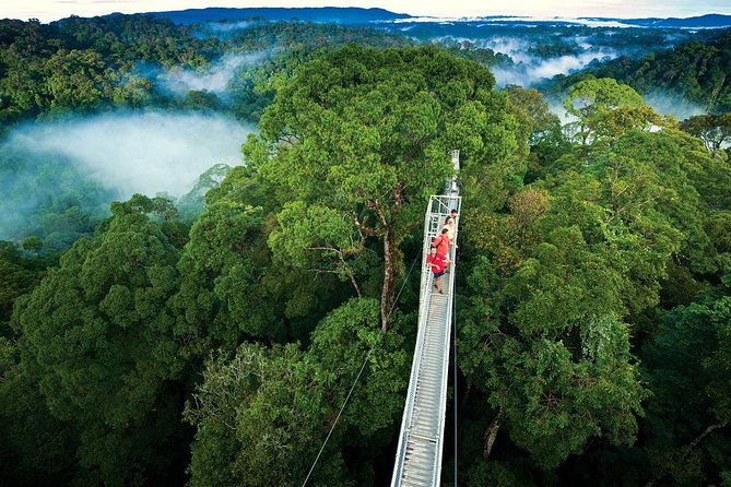 Monteverde Cloud Forest Hanging Bridges Tour from San Jose - Key highlights worth your attention