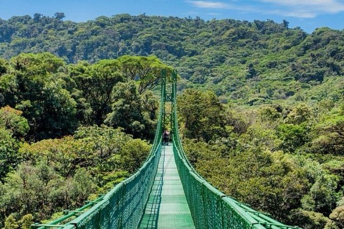 Monteverde Cloud Forest Hanging Bridges Tour from San Jose - Price and value: what you really pay for
