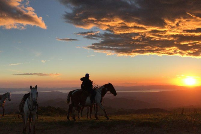 Monteverde Cloud Forest Horseback Riding - Key things to know before you go