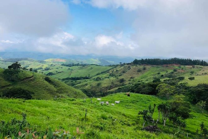 Monteverde Cloud Forest Horseback Riding - Picking the Right Time: Birds, Clear Weather, or Sunset