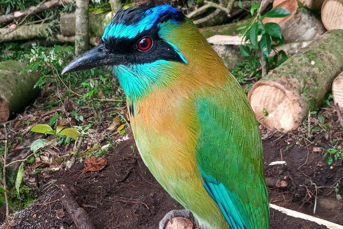 Monteverde Cloud Forest Nature Tour - Packing List for a Wet, Cool Cloud Forest Walk