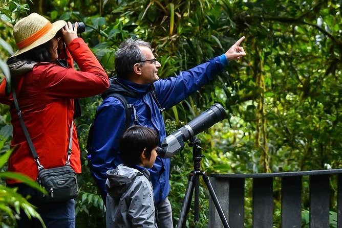 Monteverde Wildlife Walk & Hummingbird Encounter - Monteverde cloud-forest walking with a telescope, not just a stroll